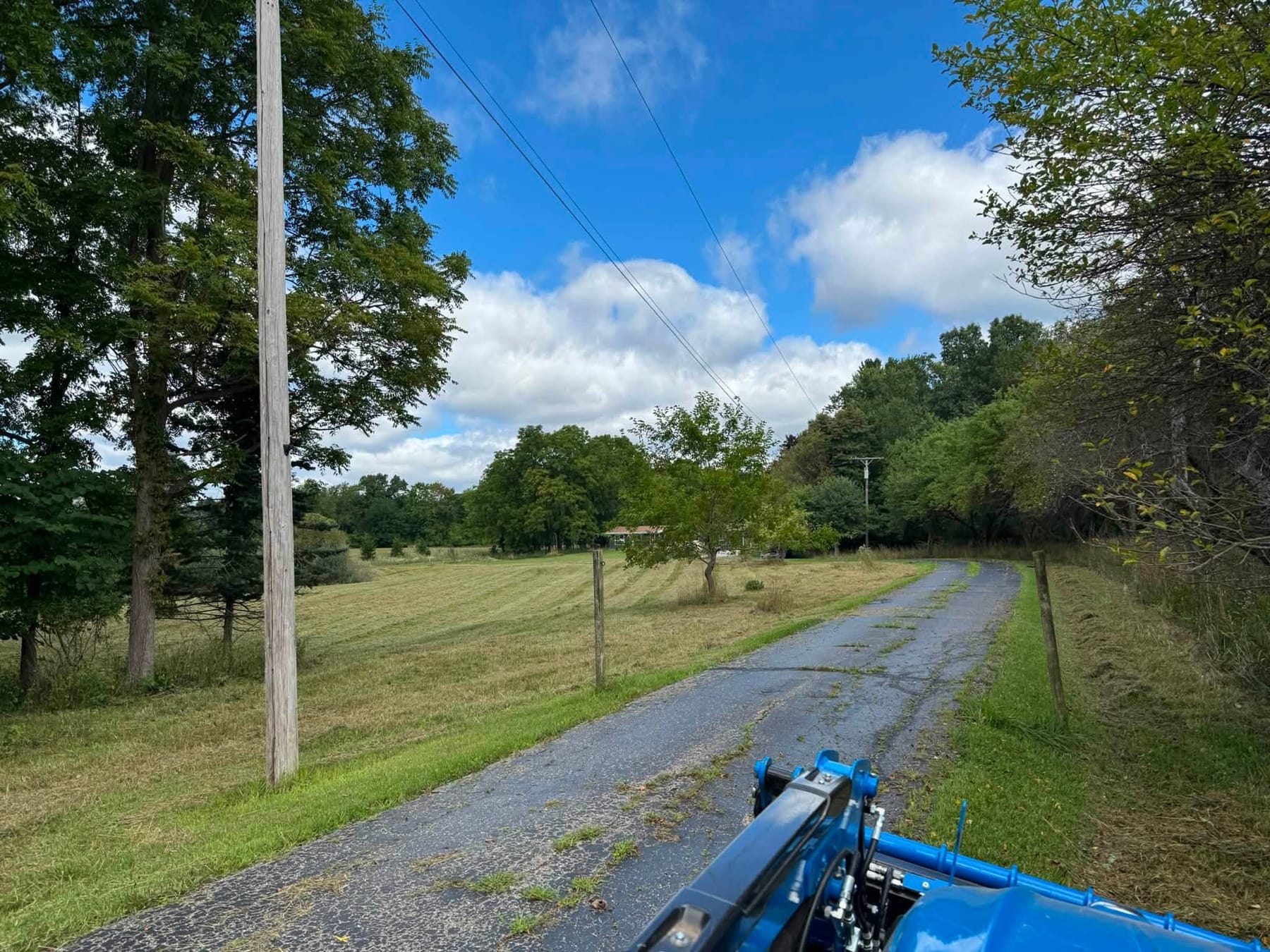 The same drive after cutting, the verges and the field edge mown short and the fence line opened up.
