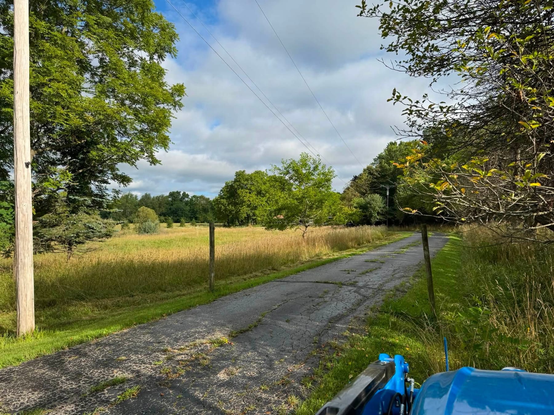 A gravel drive running between a hayfield and a wooded fence line, the grass along both verges standing tall and gone to seed.